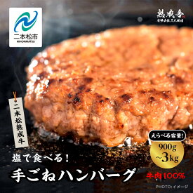 【ふるさと納税】 二本松熟成牛 塩で食べる！ 手ごね ハンバーグ 1.5kg（150g×10袋）〜3kg（150g×20袋） 生ハンバーグ 国産 牛肉 ひき肉 牛肉100% 10個 20個 レンジ ミンチ 小分け お取り寄せ グルメ 肉汁 おすすめ ギフト 二本松 ふくしま 福島県 送料無料 【エム牧場】