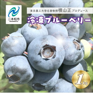 【ふるさと納税】 《2025年7月以降順次発送》東京農工大学名誉教授「横山 正」ブランドのブルーベリー冷凍果実1kg(品種おまかせ) ブルーベリー フルーツ 果物 冷凍果実 おすすめ お中元
