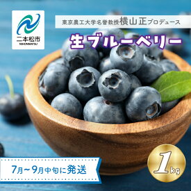 【ふるさと納税】《2026年7月以降順次発送》東京農工大学名誉教授「横山　正」ブランドのブルーベリー果実1kg（品種おまかせ） ブルーベリー 産地 直送 新鮮 果物 フルーツ おすすめ お中元 お歳暮 ギフト 二本松市 ふくしま 福島県 送料無料 【東和ブルーベリー研究農園】