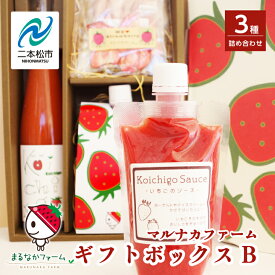 【ふるさと納税】 まるなかファーム ギフトボックスB いちご 酒 リキュール liqueur ソース source ドライいちご いちごソース 詰め合わせ セット 苺 イチゴ フルーツ 果物 おすすめ お中元 お歳暮 ギフト 二本松市 ふくしま 福島県 送料無料 【まるなかファーム】