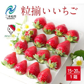 【ふるさと納税】《2026年3月以降順次発送》粒揃い贈答用いちご1箱 いちご ストロベリー 苺 イチゴ 贈答用 フルーツ 果物 おすすめ お中元 お歳暮 ギフト 二本松市 ふくしま 福島県 送料無料 【まるなかファーム株式会社】