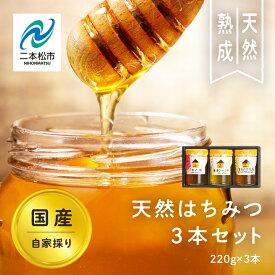 【ふるさと納税】 自家採り国産天然はちみつ 3本セット(220g×3) 蜂蜜 はちみつ ハチミツ 国産 百花蜜 アカシヤ アカシア ハニー 天然 無添加 おすすめ お中元 お歳暮 ギフト 二本松市 ふくしま 福島県 送料無料 【株式会社渡辺養蜂場】