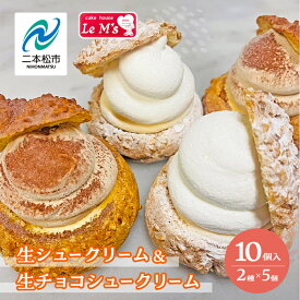 【ふるさと納税】 生シュークリームと生チョコシュークリーム10個入り シュークリーム スイーツ 菓子 洋菓子 冷凍 小分け 贅沢 生クリーム チョコ 食べ比べ おすすめ お中元 お歳暮 ギフト 二本松市 ふくしま 福島県 送料無料 【南屋菓子店 cake house Le Ms（ル・エムズ）】