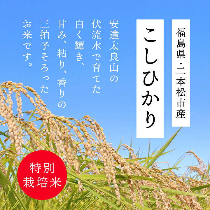 楽天市場】【ふるさと納税】米 令和7年産 こしひかり 5kg or 10kg 米 