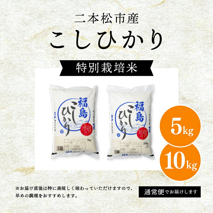 楽天市場】【ふるさと納税】米 令和7年産 こしひかり 5kg or 10kg 米 