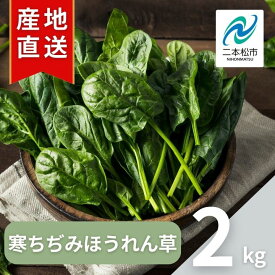 【ふるさと納税】 《2027年1月中旬より順次発送》寒ちぢみほうれん草2kg ホウレンソウ 炒め物 おひたし 胡麻和え 野菜 ヤサイ 新鮮 産地直送 新鮮野菜 白和え おすすめ お中元 お歳暮 ギフト 二本松市 ふくしま 福島県 送料無料 【西谷さとう農園】