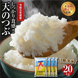 【ふるさと納税】＼令和5年産 ／ 【 無洗米 】 田村市産 天のつぶ 20kg ( 5kg × 4袋 ) ギフト 贅沢 のし対応 1週間以内発送 福島 ふくしま 田村 贈答 美味しい 米 kome コメ ご飯 ブランド米 精米したて お米マイスター 匠 食味鑑定士 安藤米穀店