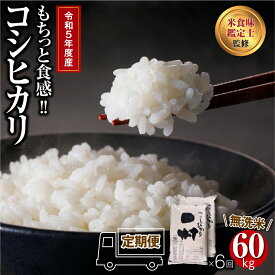 【ふるさと納税】＼ 令和5年産 ／【 無洗米 】 定期便 6回 田村産 コシヒカリ 10kg (5kg × 2袋) 計 60kg 1俵 配送 ギフト 贅沢 のし対応 1週間以内発送 福島 ふくしま 田村 贈答 米 kome コメ ご飯 ブランド米 精米したて お米マイスター 匠 食味鑑定士 安藤米穀店