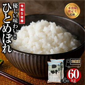 【ふるさと納税】＼ 令和5年産 ／ 定期便 6回 田村市産 ひとめぼれ 10kg ( 5kg × 2袋 ) 計 60kg 1俵 配送 ギフト 贅沢 のし対応 1週間以内発送 福島 ふくしま 田村 贈答 美味しい 米 kome コメ ご飯 ブランド米 精米したて お米マイスター 食味鑑定士 安藤米穀店