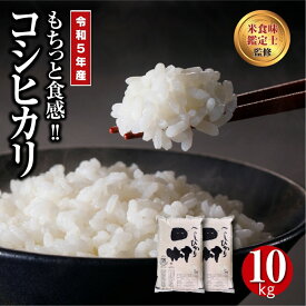 【ふるさと納税】 【令和5年産 】 田村産 コシヒカリ10kg (5kg×2袋) ギフト 贅沢 のし対応 1週間以内発送 福島 ふくしま 田村 贈答 美味しい 米 kome コメ ご飯 ブランド米 精米したて お米マイスター 匠 食味鑑定士 安藤米穀店