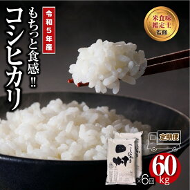 【ふるさと納税】＼ 令和5年産 ／ 定期便 6回 田村産 コシヒカリ 10kg （ 5kg × 2袋 ） 計 60kg 1俵 配送 ギフト 贅沢 のし対応 1週間以内発送 福島 ふくしま 田村 贈答 美味しい 米 kome コメ ご飯 ブランド米 精米したて お米マイスター 食味鑑定士 安藤米穀店