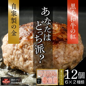 【ふるさと納税】自家製 ハンバーグ 食べ比べ セット 6個 2種類 小分 パック 冷凍保存 肉 牛肉 おかず お弁当 ジューシー 人ランキング ギフト 贈答 プレゼント 熨斗 のし 牛 豚 鶏 羊 福島県 田村市 川合精肉店