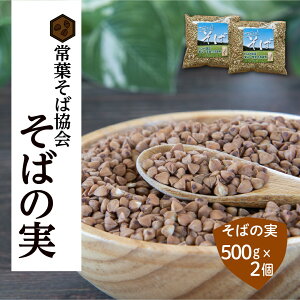 yӂ邳Ɣ[ŁzԂ܍  ΂̎ 1kg ( 500g × 2 )  Αł GI _CGbg GAP FGAP Y    ً}xi  Rix  cs t