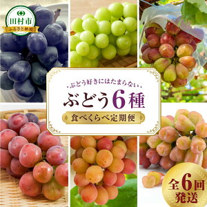 yӂ邳Ɣ[Łzys\ 2025Nz_Ԃǂ6Hׂגց^ 6񔭑 ①  햳 Ȃ VC}XJbg Ԃǂ i ʕ t[c    lC  