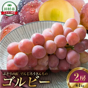 yӂ邳Ɣ[Łzy s\ 2025N z Sr[ 1kg ①  햳 Ȃ VC}XJbg uhE Ԃǂ i ʕ Â    lC LO  cs 