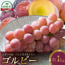 【ふるさと納税】【 先行予約 2026年発送 】 ゴルビー 約1kg 冷蔵 種無し 種なし シャインマスカット ブドウ ぶどう 品種 果物 甘い 巨峰 美味しい 希少 人気 ランキング 福島県 田村市 ふくしま 福島 鈴木農園 でんじろうさん