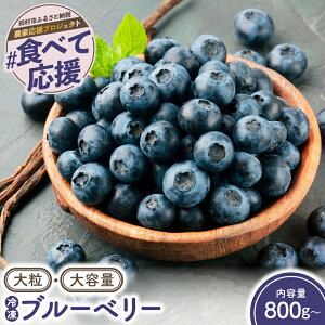 �y�ӂ邳�Ɣ[�Łz�嗱 �Ⓚ�u���[�x���[ 800g �` 3kg ������ ��e�� �t���[�c �ʕ� �������� ��E�� �V�N �x���[ ���َq��� �W���� �M�t�g ���� �v���[���g �_�ƒ��� ������ �c���s �c�� ���