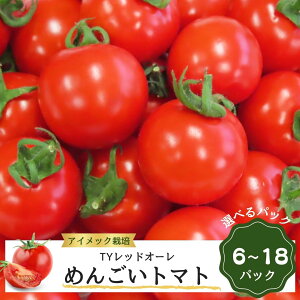 【ふるさと納税】 めんごいトマト TYレッドオーレ 2026年1月発送 めんごいとまとたむら アイメック栽培 ミニトマト トマト プチトマト 冬トマト 野菜 農家直送 ギフト プレゼント 新鮮 福島県