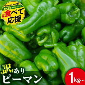 【ふるさと納税】農家さん応援！先行予約 【訳あり】 ピーマン 選べる内容量 1kg 1.5kg 2kg 3kg 5000円 6月発送 農家直送 野菜 新鮮 BBQ 焼肉 国産 おすすめ 送料無料 緊急支援品 生活応援 福島県 田村市 新田ファーム