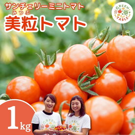 【ふるさと納税】 美粒トマト ミニトマト サンチェリー 1kg 2026年7月発送 トマト とまと 甘い 濃厚 新鮮 採れたて フレッシュ 野菜 農家直送 お弁当 サラダ リコピン 美容 1キロ 人気 おすすめ ギフト 贈答 プレゼント 福島県 田村市 田村 GREEN for TABLE