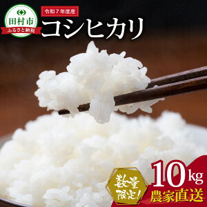 yӂ邳Ɣ[Łzʌ _ V s\JnI^ yߘa7NYzcY RVqJ 10kg ( 10kg() × 1 ) _ƒ 2025N10{   ĂĂ𔭑   R  P