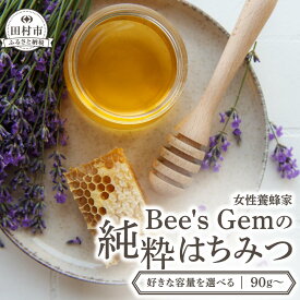 【ふるさと納税】 ＼ 数量限定 ／ 純粋はちみつ 選べる内容量 百花蜜 こだわりのはちみつ 健康志向 はちみつ美容ソムリエ 蜂蜜養蜂士 贈り物にぴったり ギフトセット ハニーディッパー付き 国産 おすすめ 福島県 田村市 福島 ふくしま Bee's Gem