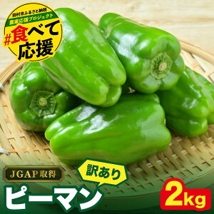 yӂ邳Ɣ[Łz _Ƃ񉞉I y󂠂z s[} 1kg 2kg Iׂe JGAP擾 _ƒ ①  VN BBQ ē Y   ً}xi  Rix  c