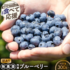 �y�ӂ邳�Ɣ[�Łz�󂠂� �Ⓚ�u���[�x���[ 300g 500g ���_�� ������ �t���[�c �ʕ� �������� ��E�� �V�N �x���[ ���َq��� �W���� �M�t�g ���� �v���[���g �l�C �����L���O �_�ƒ��� 10000 1��