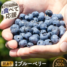 【ふるさと納税】〈訳あり〉 冷凍ブルーベリー 300g 500g 選べる容量 小分け フルーツ 果物 くだもの 冷凍フルーツ 完熟 手摘み 新鮮 ベリー お菓子作り ジャム ギフト 贈答 プレゼント 人気 ランキング 農家直送 10000 1万円 福島県 田村市 いずみの森ブルーベリー園
