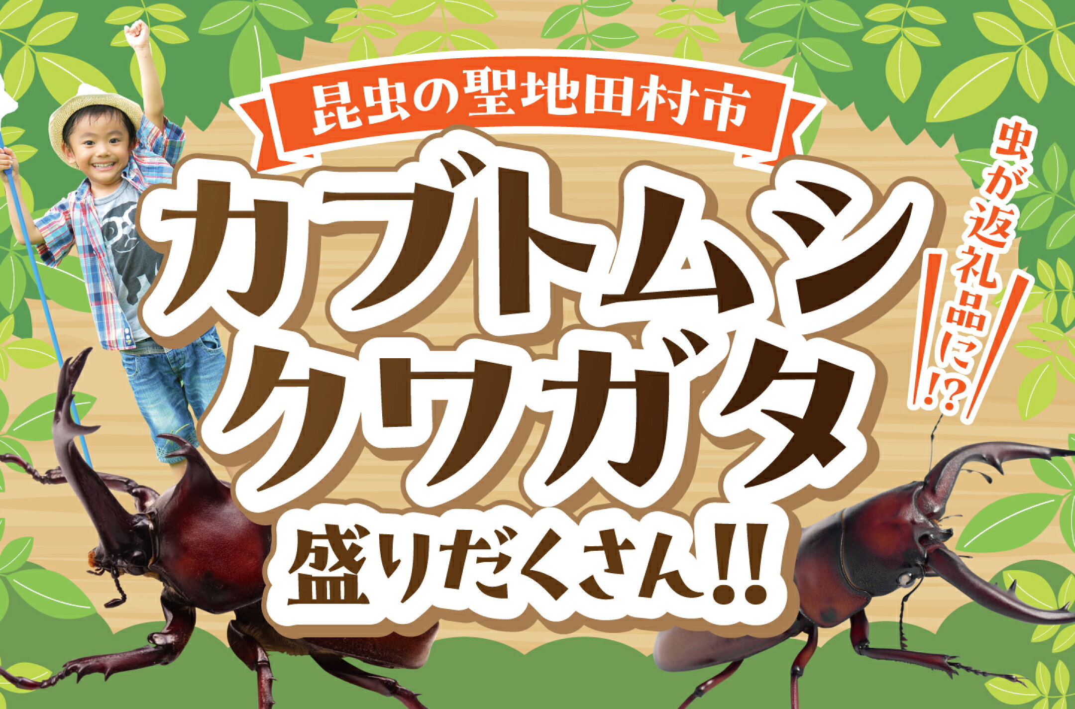 ＼昆虫の聖地田村市／昆虫返礼品盛りだくさん！