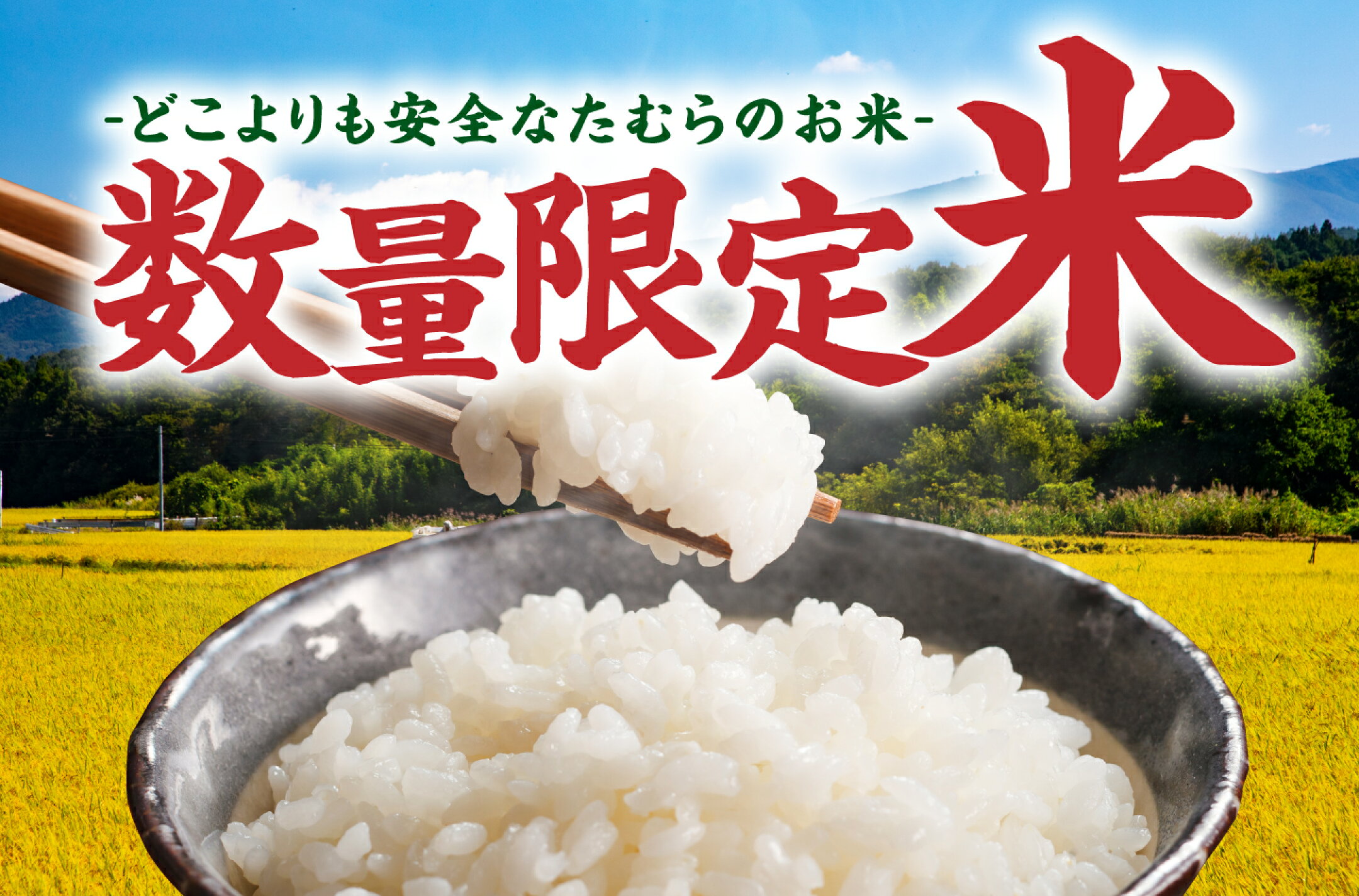 数量限定米！米処たむらのお米特集！