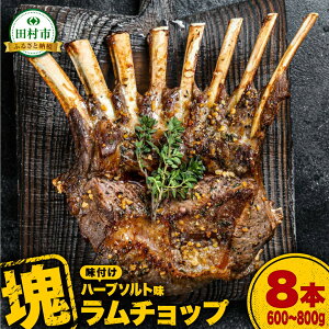 yӂ邳Ɣ[Łz`bv 8{ i n[u\g 600g ` 800g j ł͂I  r r   ē BBQ  lC LO Mtg  v[g l ̂  cs 