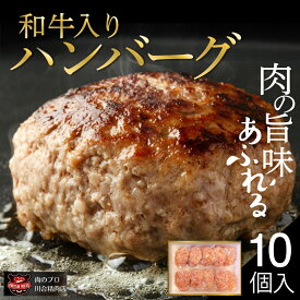 【ふるさと納税】 自家製 和牛入り ハンバーグ 10個 セット 小分パック 冷凍保存 肉 牛肉 おかず お弁当 ジューシー ランキング ギフト 贈答 プレゼント 熨斗 のし 牛 豚 鶏 羊 福島県 田村市 川合精肉店 《レビューキャンペーン》