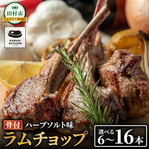 yӂ邳Ɣ[Łz艿i `bv bN  6{`16{ 500g`1.6kg ^ Ⓚۑ   ē qr NX}X Lv  o[xL[ BBQ ^pN J[ n[u \g 