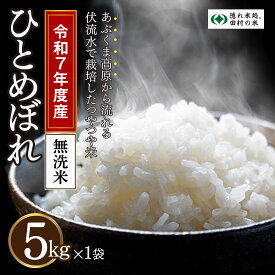 【ふるさと納税】先行予約開始【無洗米】令和7年産 ひとめぼれ 5kg 10月中旬発送 農家直送 お米 贈答 美味しい 米 kome コメ ご飯 特A ランク 一等米 単一米 精米 玄米 国産 福島県 田村市 光農園