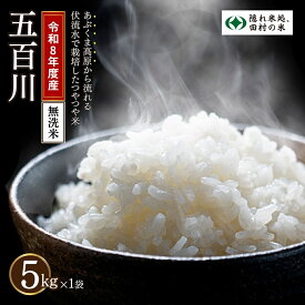 【ふるさと納税】【無洗米】令和8年産 五百川 5kg 農家直送 お米 贈答 美味しい 米 kome コメ ご飯 特A ランク 一等米 単一米 精米 玄米 国産 福島県 田村市 光農園