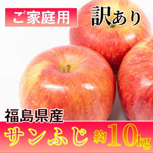 訳あり りんご 10kgの人気商品 通販 価格比較 価格 Com
