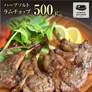yӂ邳Ɣ[ŁzIׂ `bv  8{ 16{ 500g 600g` 1.2kg` ^ Ⓚۑ   ē qr NX}X Lv  o[xL[ BBQ ^pN J[ n[u \g lC 