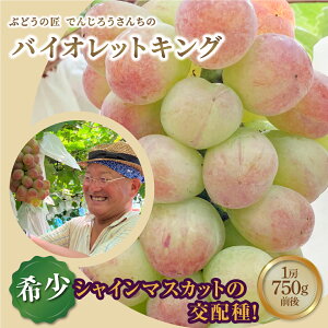 yӂ邳Ɣ[Łzy s\ 2025N z_ oCIbgLO 750g^ 1[ ①  햳 Ȃ VC}XJbg Ԃǂ i ʕ Â    lC LO 