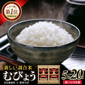 【ふるさと納税】 米 ひとめぼれ × 天のつぶ 独自調合米 令和6年産 むびょう 選べる キロ数 5kg 10kg 15kg 20kg ブレンド 白米 精米 5キロ 10キロ 15キロ 20キロ プレゼント ギフト 贈答 福島県 田村市 福島 ふくしま 東北むらせ