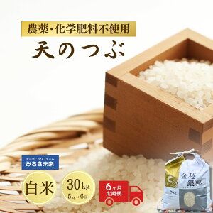 yӂ邳Ɣ[Łz V̂ ߘa7NY Iׂ  /  E 5kg / 10kg E P / 3 / 6 _Ew엿sgp | _ _sgp w엿sgp L@I͔|    Y 