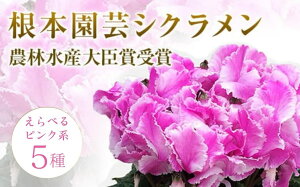 yӂ邳Ɣ[Łzys\z VN sNn Iׂ   K[fVN bh  ԃMtg t[Mtg  A Mtg v[g  _ѐYb܎ 