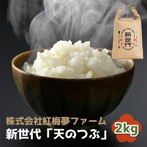 yӂ邳Ɣ[Łzys\zV V̂ V  2kg | ߘa7NY 2025NY  2kg  22L ͂ Y 쑊n  g~t@[