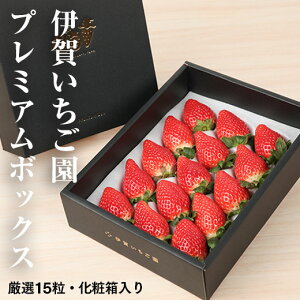 yӂ邳Ɣ[Łzy2JnEʌzɉꂢ̃v~A{bNXiI15ϔj - C`S Xgx[ strawberry  p v[g ӂ͂鍁 䂤₯x[