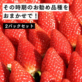 【ふるさと納税】【2月発送開始・数量限定】 いちご280g×2パック ｜ふくはる香 とちおとめ ゆうやけベリー おまかせ 伊賀 いちご園 イチゴ いちご 苺 ストロベリー strawberry 人気 プレゼント ギフト 贈答用 贈り物 果物 フルーツ ふるさと納税 福島 南相馬