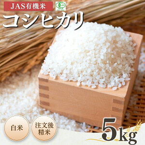 yӂ邳Ɣ[Łzys\zJASL@ RVqJ  5kg ߘa7NY |  JAS L@ R uh ቷ Y {L@_y53870-001-02z