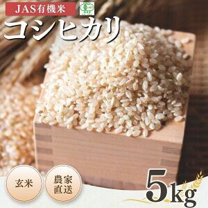 yӂ邳Ɣ[Łzys\zJASL@ RVqJ  5kg ߘa7NY | JAS L@ R uh ቷ Y {L@_y53870-001-11z