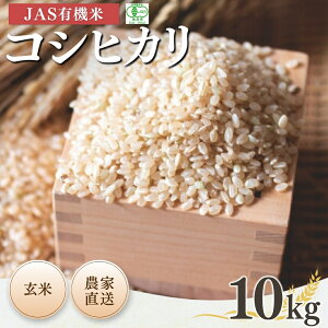 yӂ邳Ɣ[Łzys\zJASL@ RVqJ  10kg ߘa7NY | JAS L@ R uh ቷ Y {L@_y53870-001-12z
