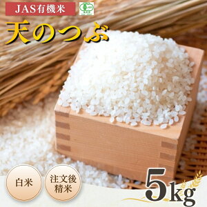 yӂ邳Ɣ[Łzys\zJASL@ V̂  5kg ߘa7NY |  JAS L@ R uh ቷ Y {L@_y53870-002-02z