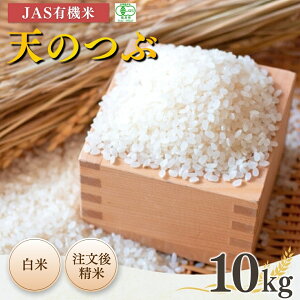 yӂ邳Ɣ[Łzys\zJASL@ V̂  10kg ߘa7NY |  JAS L@ R uh ቷ Y {L@_y53870-002-03z